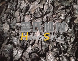 蒸女貞子、黃精體驗(yàn)