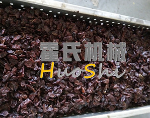 蒸女貞子、黃精體驗(yàn)